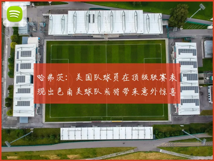 哈弗茨：美国队球员在顶级联赛表现出色南美球队或将带来意外惊喜